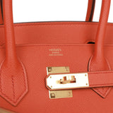 Hermes Birkin Sellier 30 Terre Battue Epsom Gold Hardware