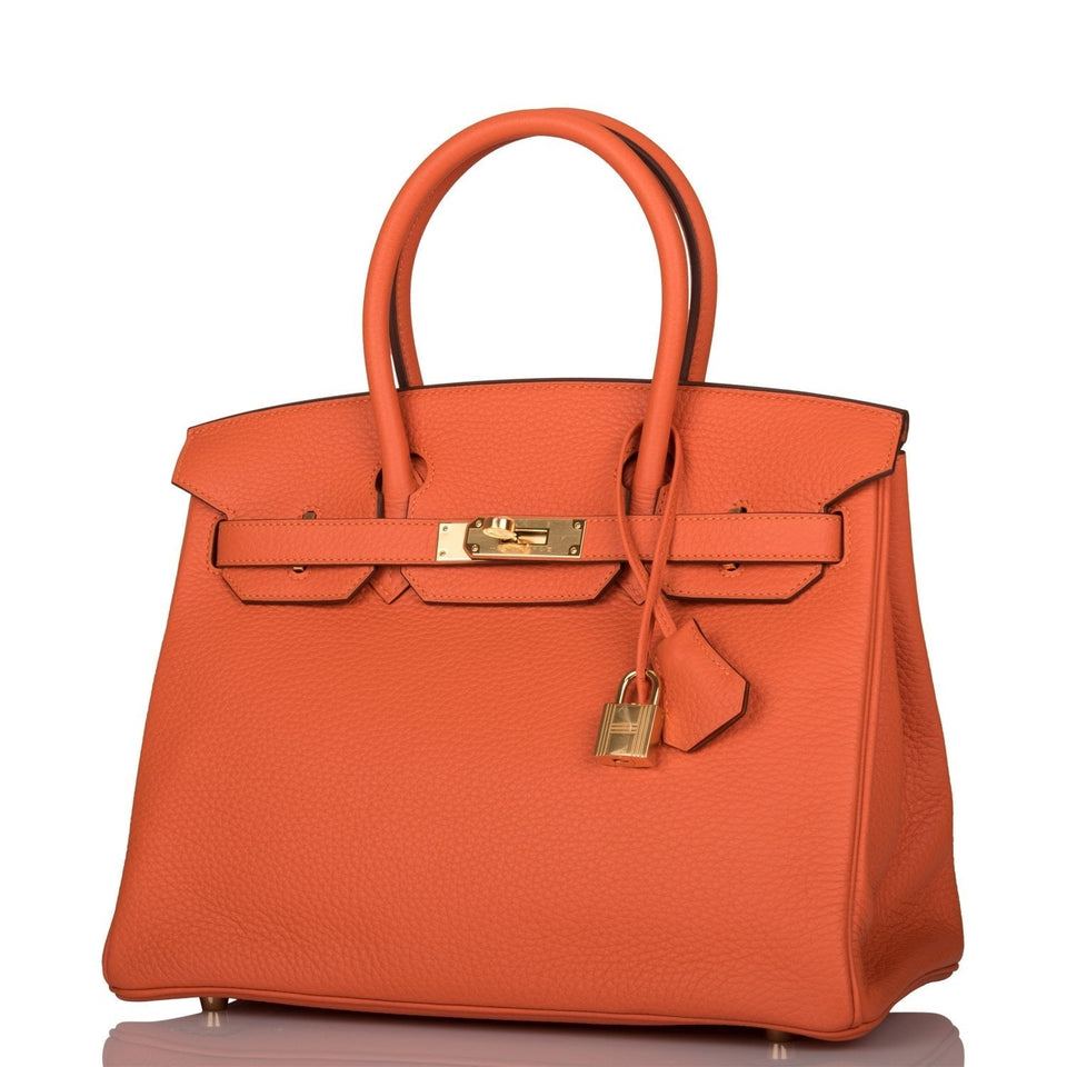 Hermes Birkin 30 Feu Clemence Gold Hardware