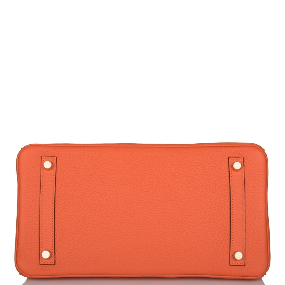 Hermes Birkin 30 Feu Clemence Gold Hardware