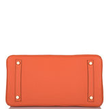 Hermes Birkin 30 Feu Clemence Gold Hardware