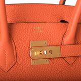 Hermes Birkin 30 Feu Clemence Gold Hardware