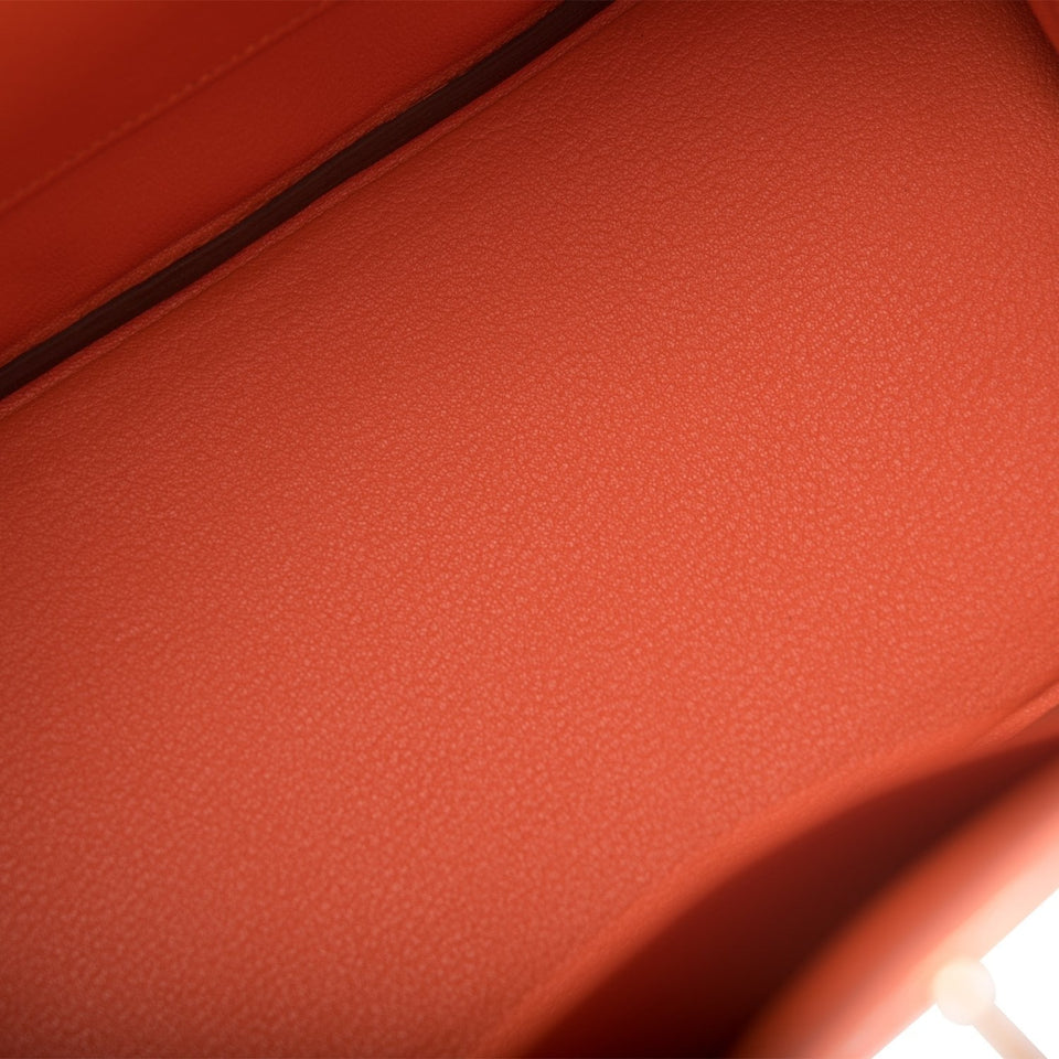 Hermes Birkin 30 Feu Clemence Gold Hardware