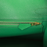 Hermes Birkin 30 Cactus Epsom Gold Hardware