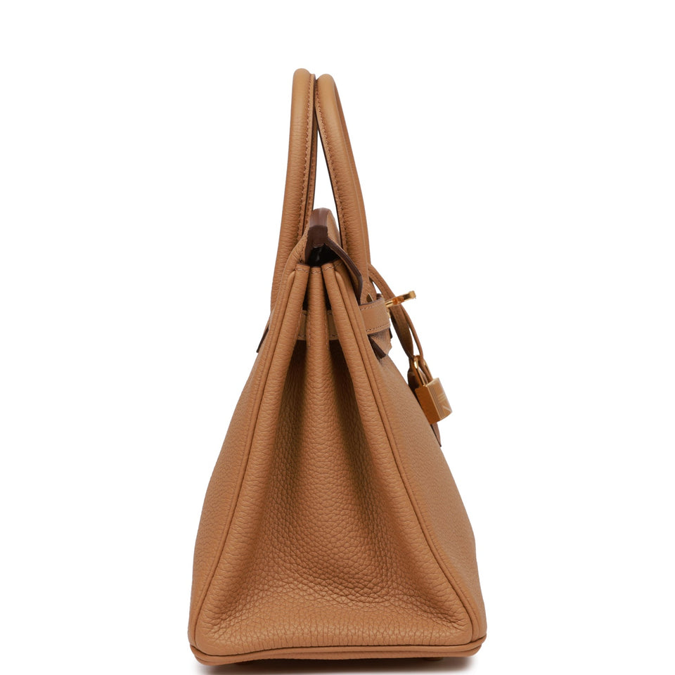Hermes Birkin 25 Biscuit Togo Gold Hardware