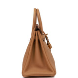 Hermes Birkin 25 Biscuit Togo Gold Hardware