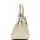 Hermes Birkin 25 Beton Matte Alligator Gold Hardware