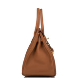 Hermes Birkin 30 Gold Togo Gold Hardware