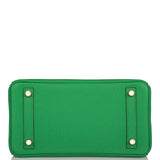 Hermes Birkin 25cm Bambou Togo Gold Hardware