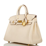 Hermes Birkin 25 Nata Swift Gold Hardware
