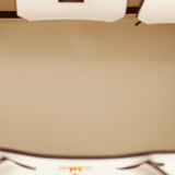 Hermes Birkin 25 Nata Swift Gold Hardware