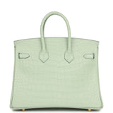 Hermes Birkin 25 Vert D'Eau Matte Alligator Gold Hardware
