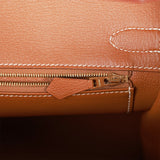 Hermes Birkin 30 Gold Togo Gold Hardware