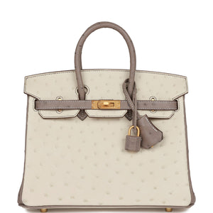 Hermes Special Order (HSS) Birkin 25 Beton and Gris Asphalte Ostrich Brushed Gold Hardware