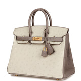 Hermes Special Order (HSS) Birkin 25 Beton and Gris Asphalte Ostrich Brushed Gold Hardware