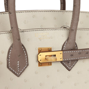 Hermes Special Order (HSS) Birkin 25 Beton and Gris Asphalte Ostrich Brushed Gold Hardware