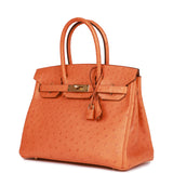 Hermes Birkin 30 Abricot Ostrich Gold Hardware