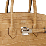Hermes Birkin 35 Poussiere Matte Alligator Palladium Hardware