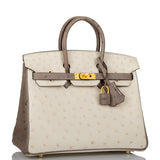 Hermes Special Order (HSS) Birkin 25 Beton and Gris Asphalte Ostrich Brushed Gold Hardware Second Deposit