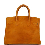 Vintage Hermes Birkin 30 Potiron Doblis Gold Hardware