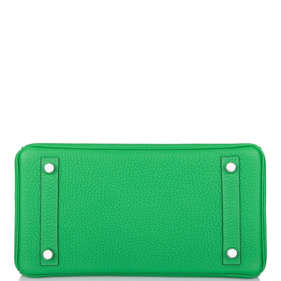 Hermes Birkin 25 Bambou Shiny Alligator and Togo Touch Palladium Hardware