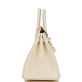 Hermes Birkin 25 Nata Swift Gold Hardware