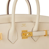 Hermes Birkin 25 Nata Swift Gold Hardware