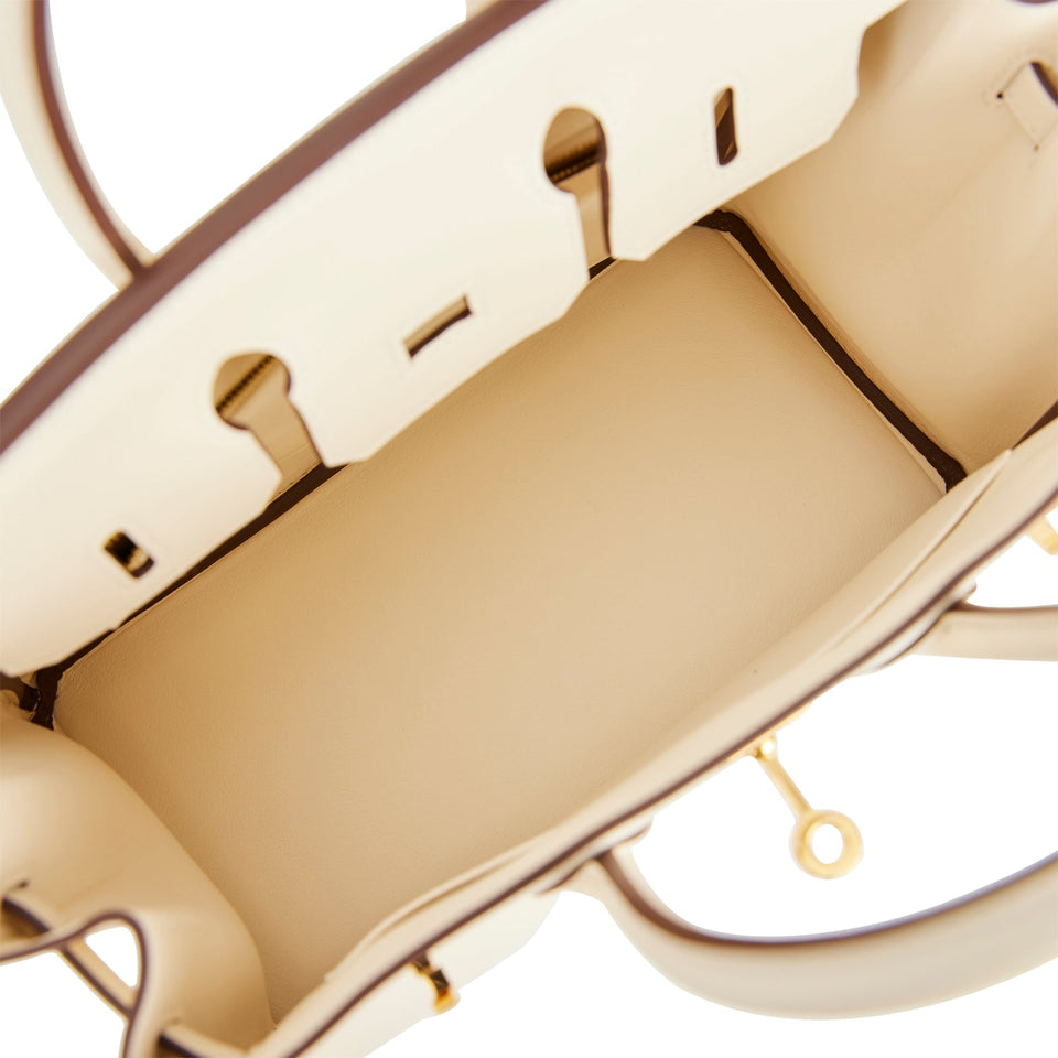 Hermes Birkin 25 Nata Swift Gold Hardware