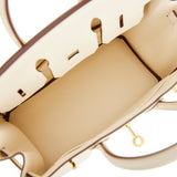 Hermes Birkin 25 Nata Swift Gold Hardware
