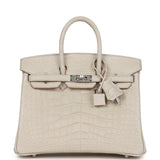 Hermes Birkin 25 Beton Matte Alligator Palladium Hardware
