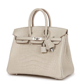 Hermes Birkin 25 Beton Matte Alligator Palladium Hardware