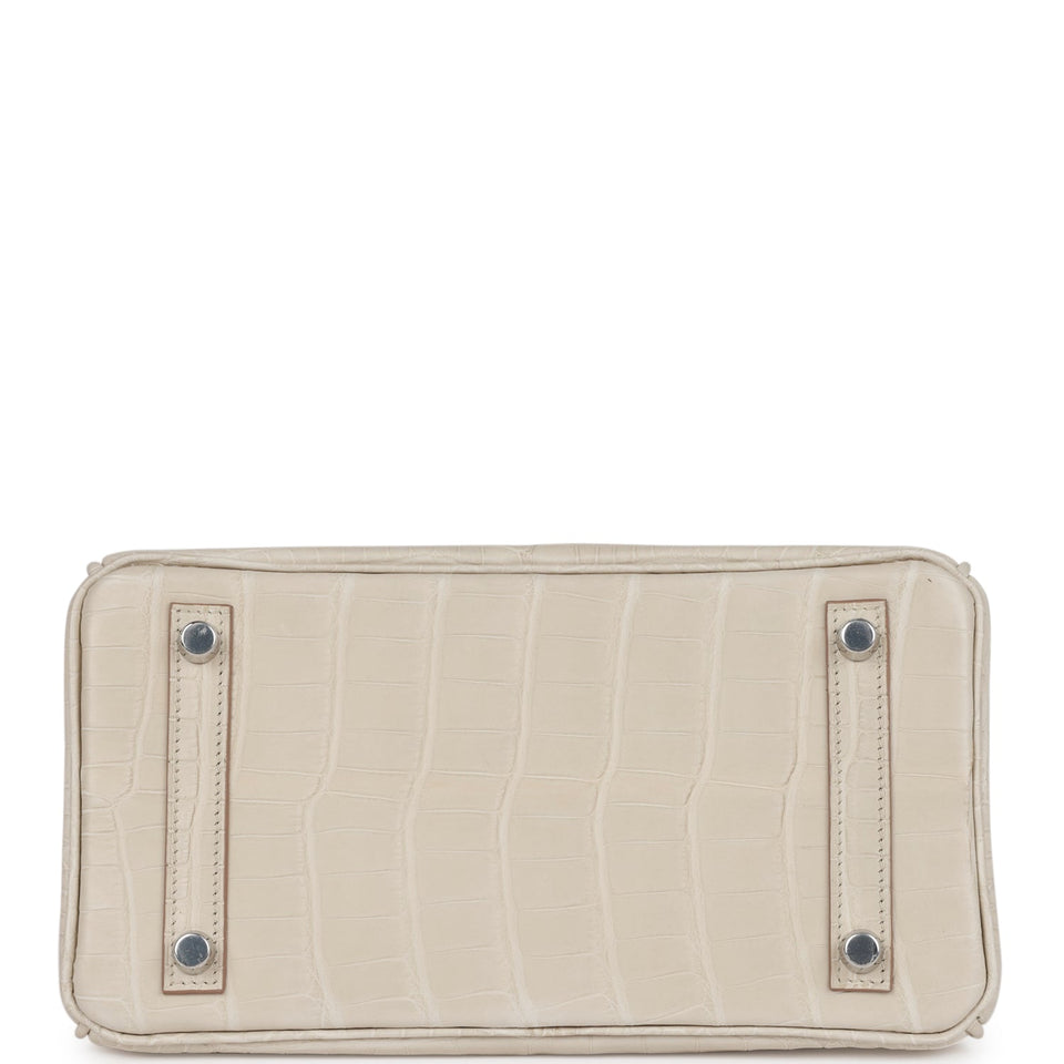 Hermes Birkin 25 Beton Matte Alligator Palladium Hardware