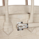 Hermes Birkin 25 Beton Matte Alligator Palladium Hardware