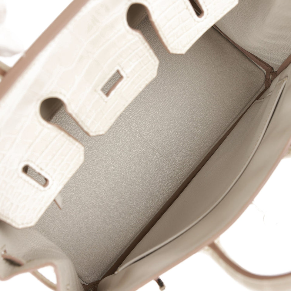 Hermes Birkin 25 Beton Matte Alligator Palladium Hardware