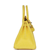 Hermes Birkin 25 Jaune Citron Ostrich Palladium Hardware