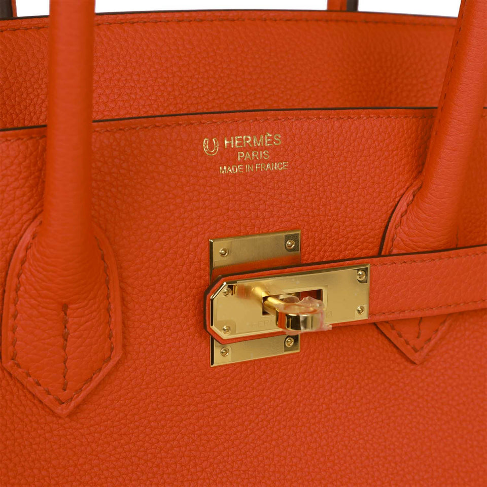 Hermes Special Order (HSS) Birkin 35 Feu Togo Gold Hardware