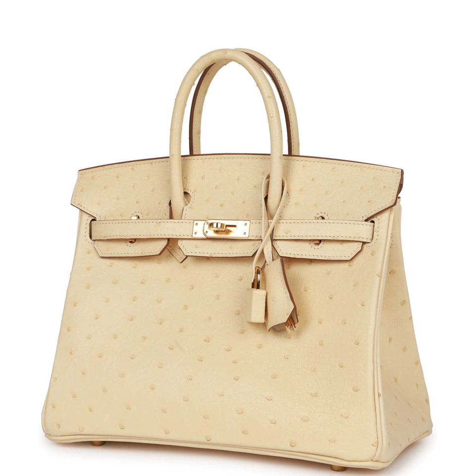 Hermes Birkin 25 Vanille Ostrich Boreal Gold Hardware