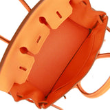 Hermes Birkin 25 Orange Minium Togo Palladium Hardware