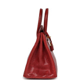 Hermes Birkin 25 Rouge Moyen Salvator Lizard Gold Hardware