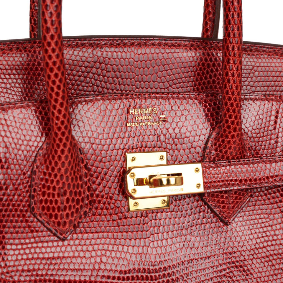 Hermes Birkin 25 Rouge Moyen Salvator Lizard Gold Hardware