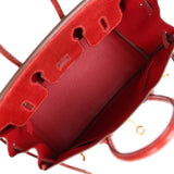Hermes Birkin 25 Rouge Moyen Salvator Lizard Gold Hardware