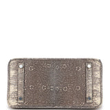 Hermes Birkin 25 Ombre Shiny Salvator Lizard Palladium Hardware