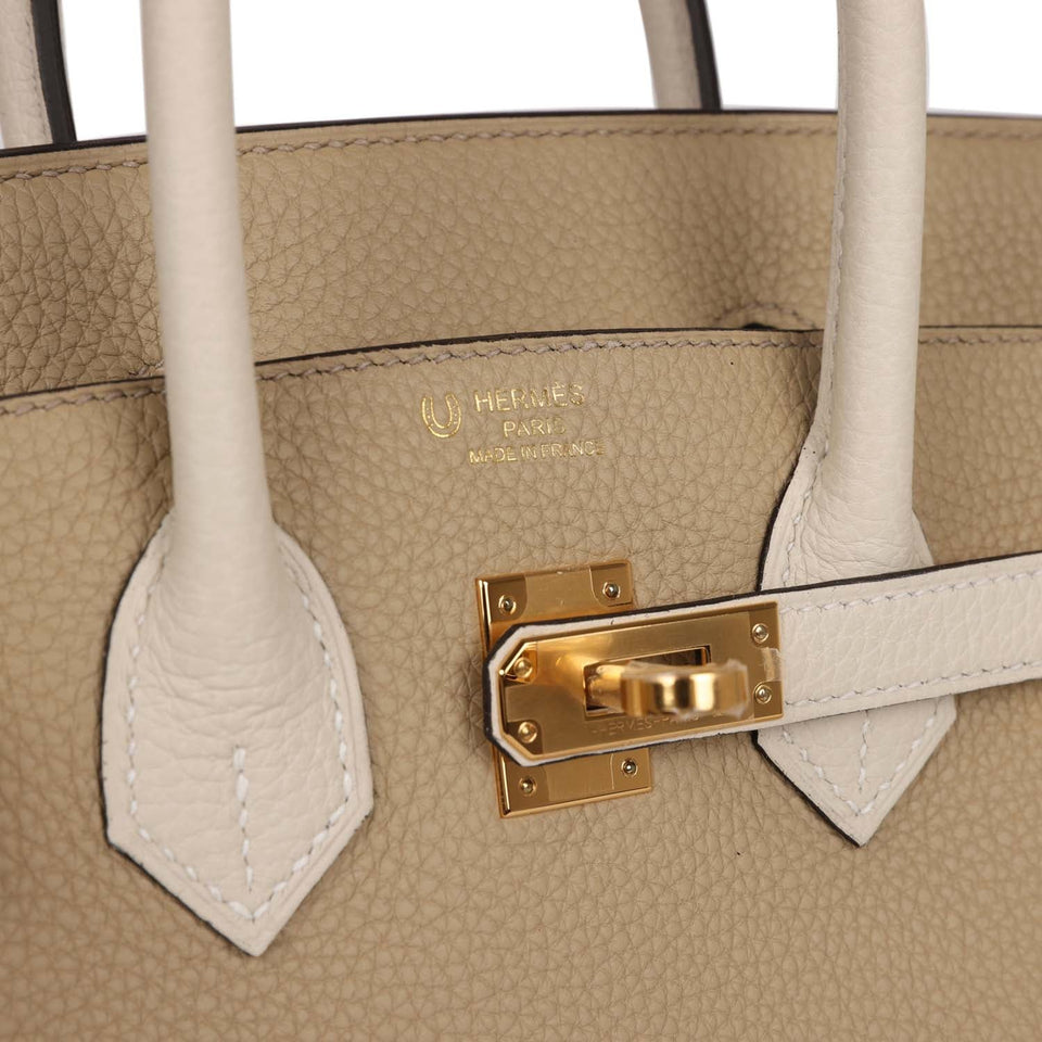 Hermes Special Order (HSS) Birkin 25 Trench and Beton Togo Gold Hardware