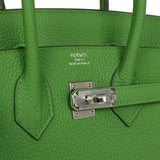Hermes Birkin 25 Vert Yucca Togo Palladium Hardware