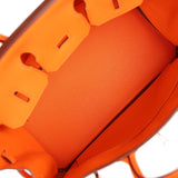 Hermes Birkin 25 Orange Minium Togo Palladium Hardware