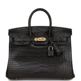 Hermes Birkin 25 Black Matte Alligator Gold Hardware
