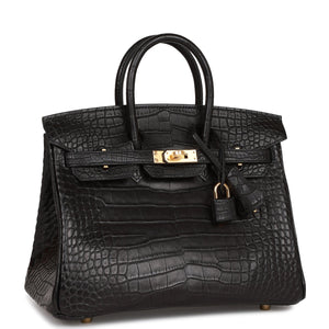 Hermes Birkin 25 Black Matte Alligator Gold Hardware