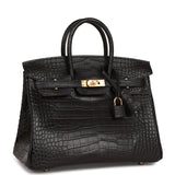 Hermes Birkin 25 Black Matte Alligator Gold Hardware