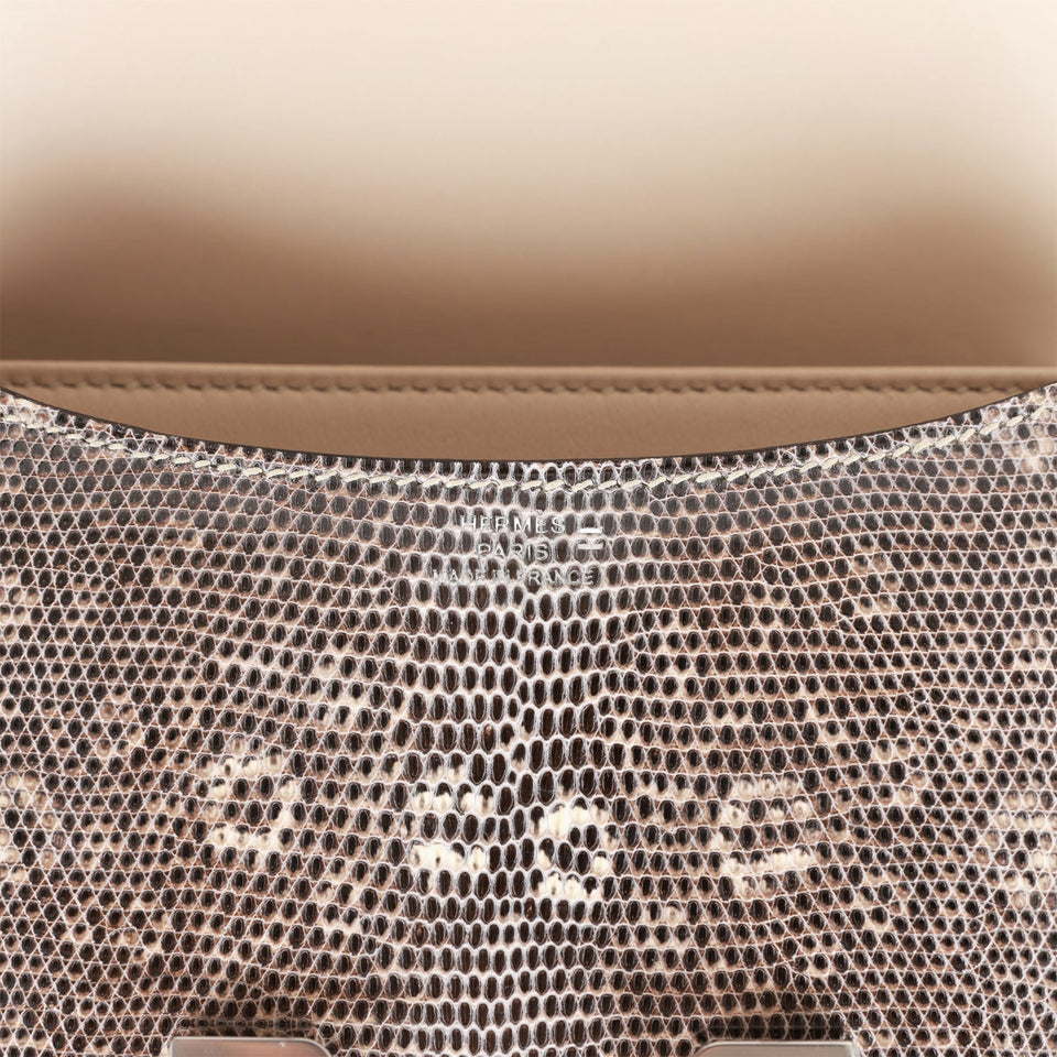Hermes Mini Constance 18 Ombre Lizard Varanus Palladium Hardware