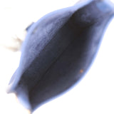 Hermes Evelyne TPM Bleu Saphir Maurice Gold Hardware