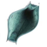 Hermes Evelyne TPM Vert Cypress Clemence Palladium Hardware